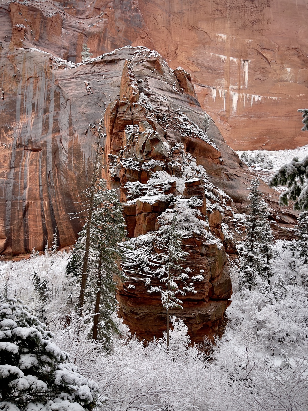 snow on sandstone · zion